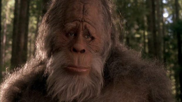 Source: Harry and the Hendersons (1987)